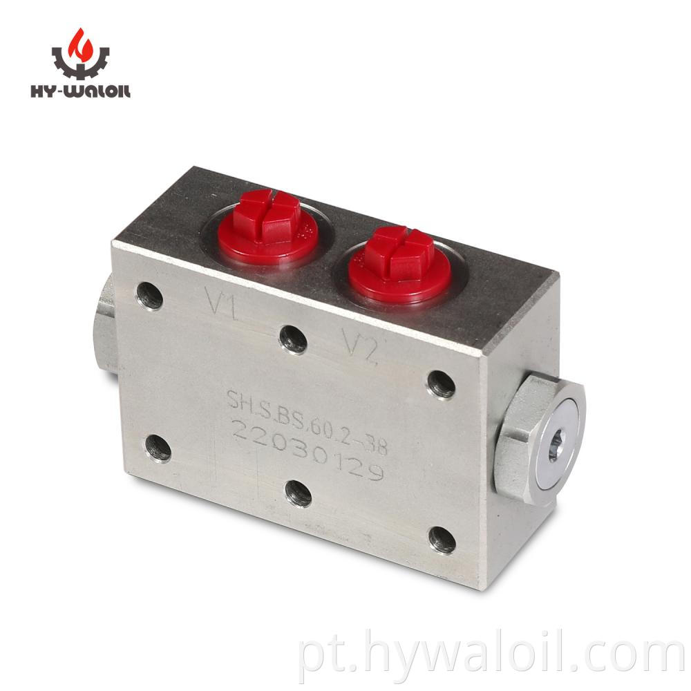 Dual Pilot Operated Check Valve